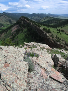 The view of the front range mountains near my house