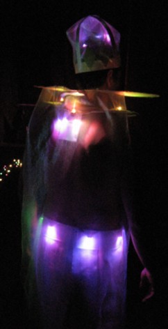 Rear of mardi-gras costume